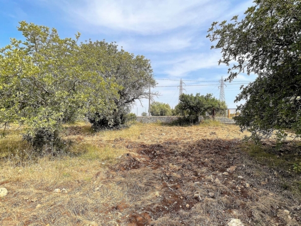agricultural land for sale in Melilli Syracuse sicily