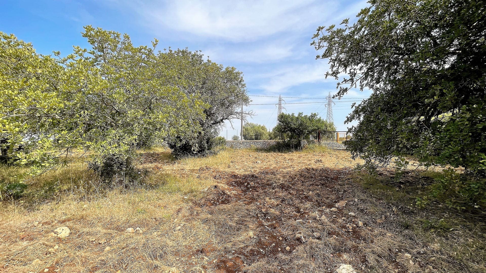 agricultural land for sale in Melilli Syracuse sicily