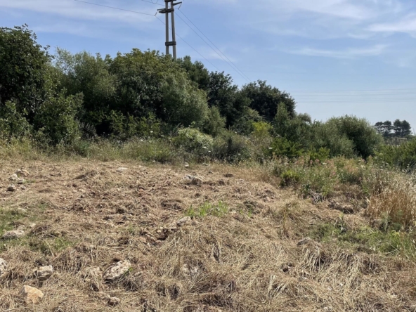 agricultural land for sale in Melilli Syracuse sicily