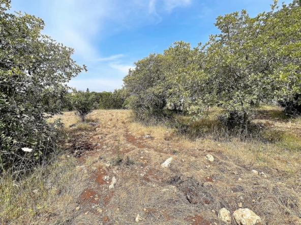 agricultural land for sale in Melilli Syracuse sicily