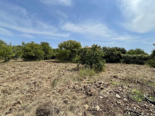 agricultural land for sale in Melilli Syracuse sicily