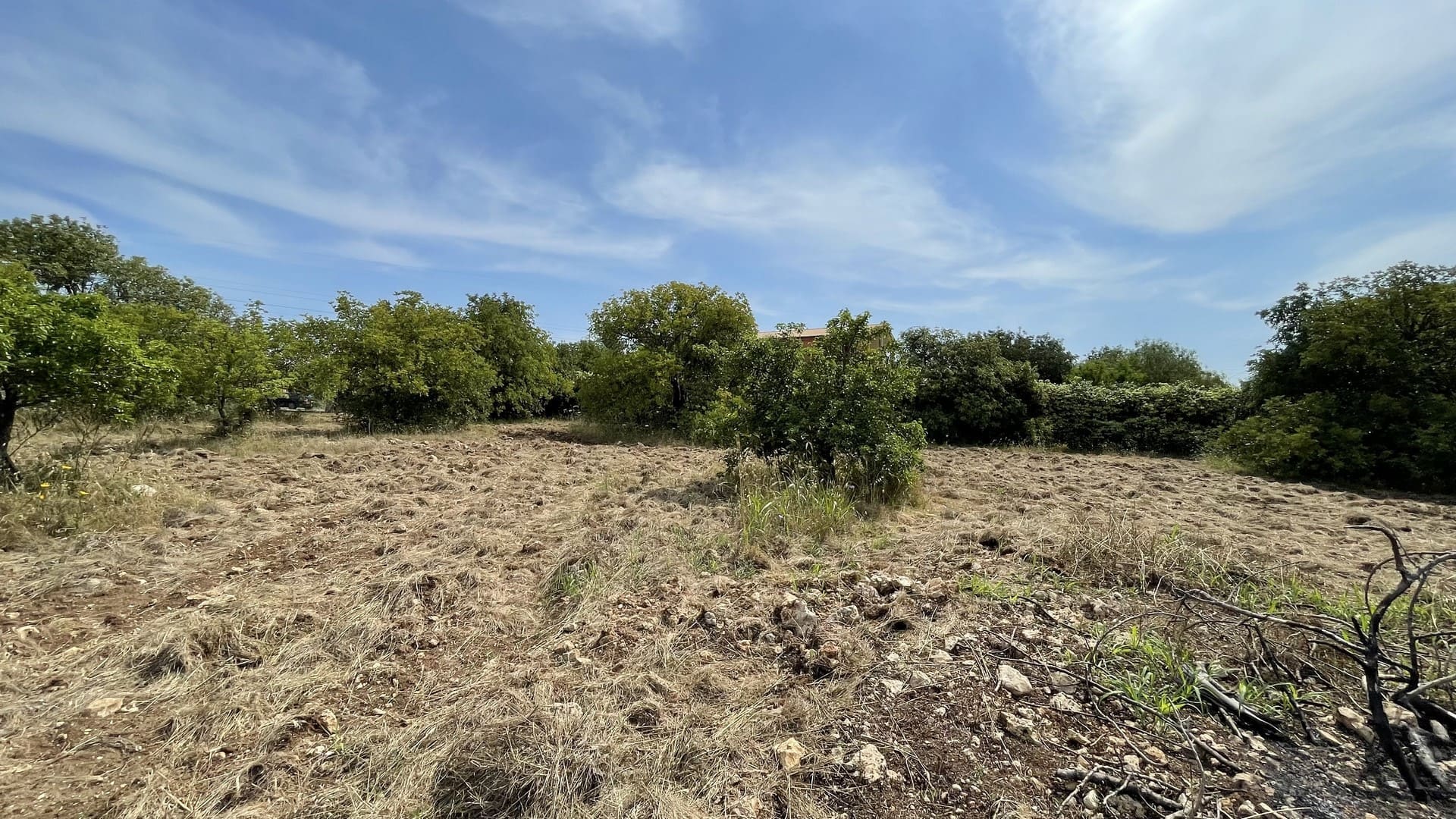 agricultural land for sale in Melilli Syracuse sicily