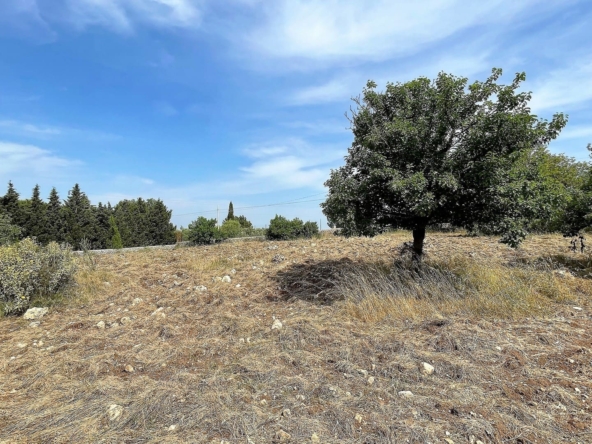 agricultural land for sale in Melilli Syracuse sicily