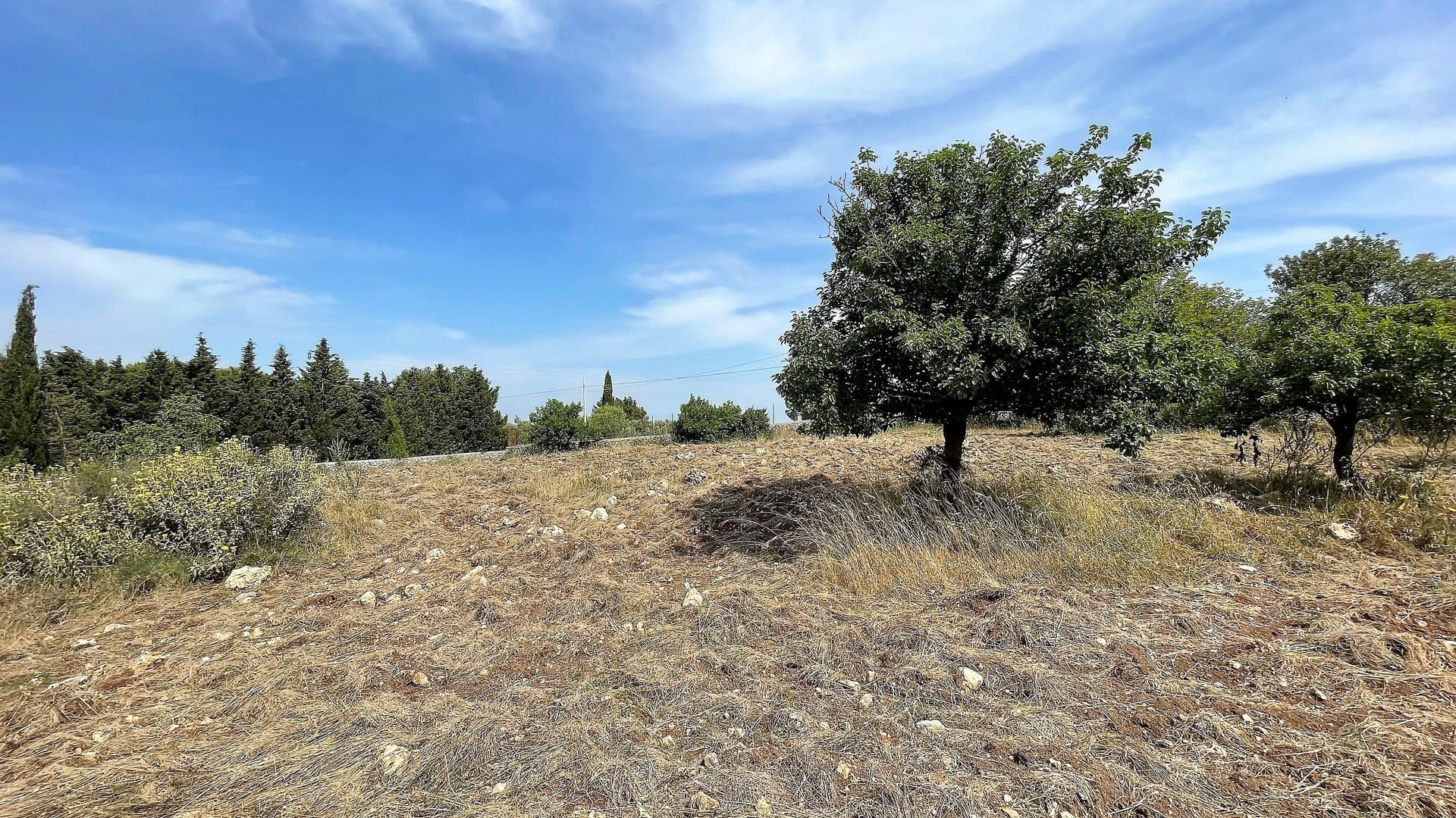 agricultural land for sale in Melilli Syracuse sicily