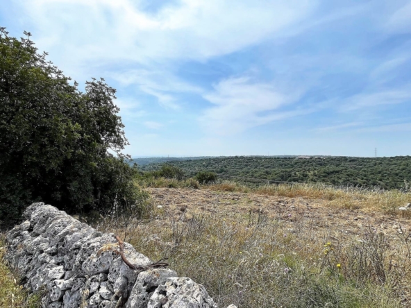 agricultural land for sale in Melilli Syracuse sicily