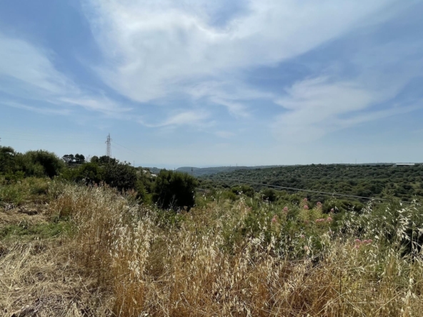 agricultural land for sale in Melilli Syracuse sicily