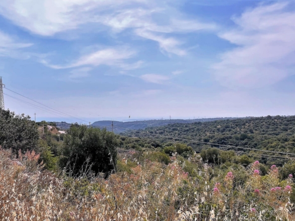 agricultural land for sale in Melilli Syracuse sicily