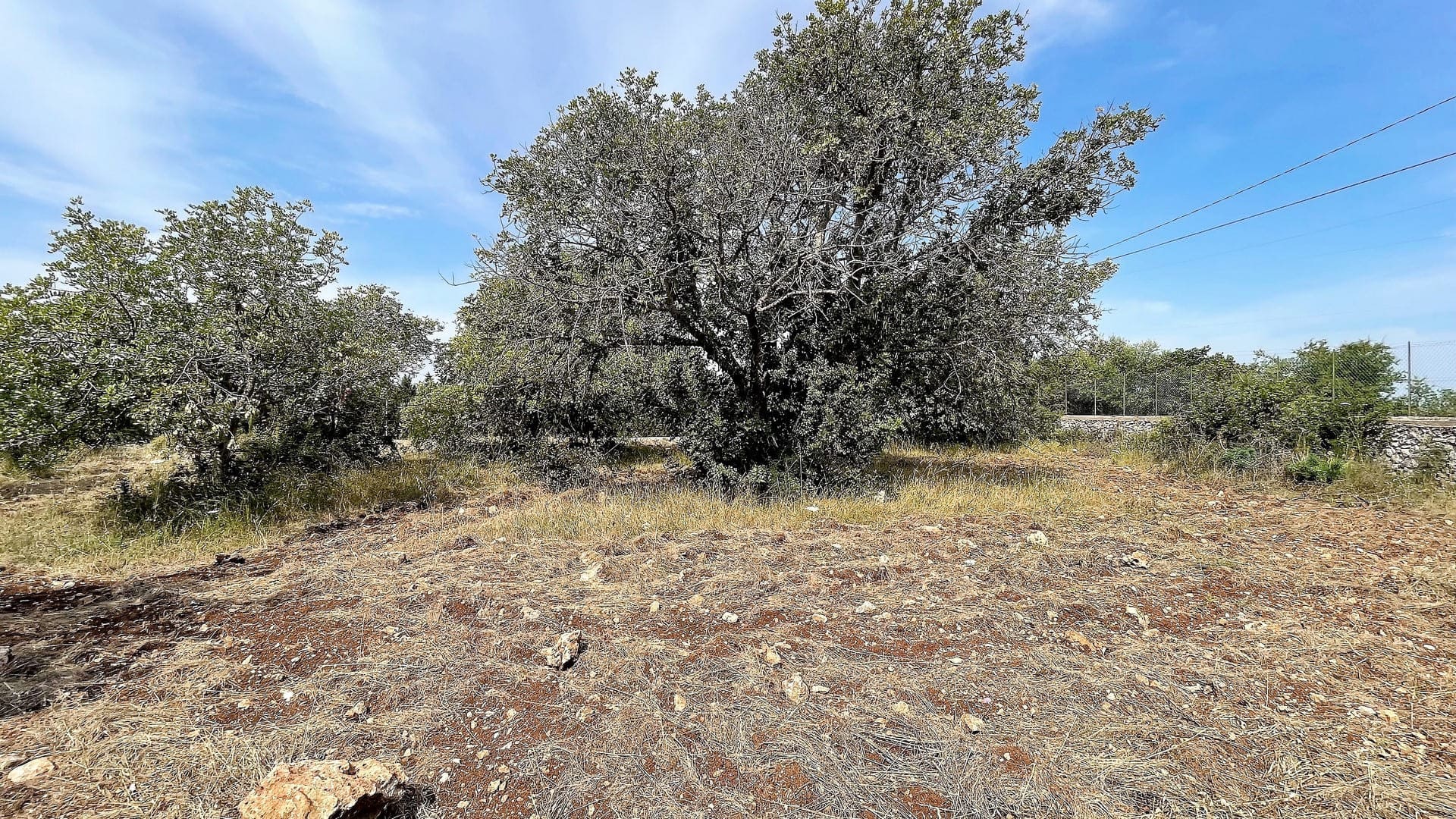 agricultural land for sale in Melilli Syracuse sicily