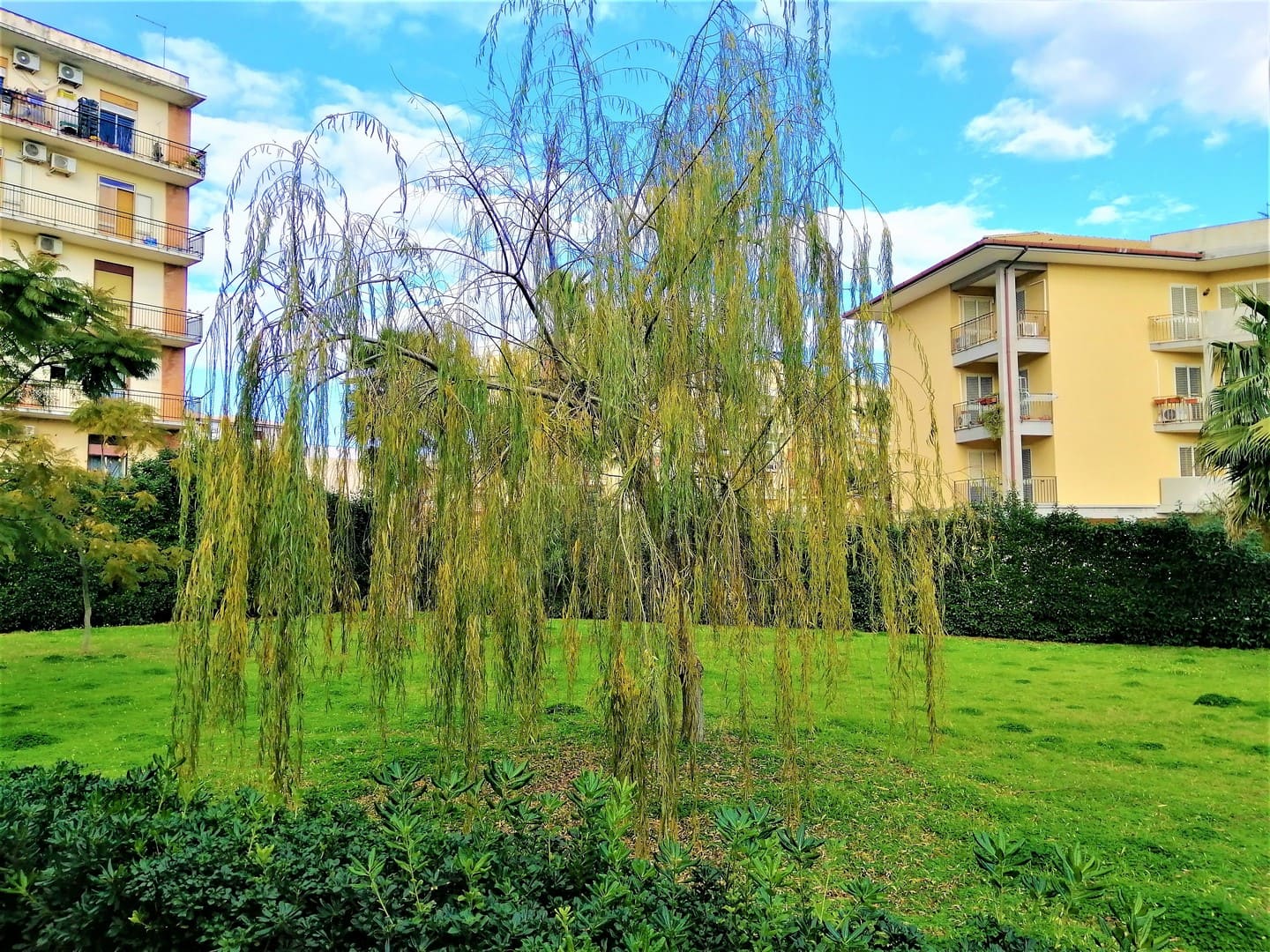 detached villa for sale in syracuse sicily