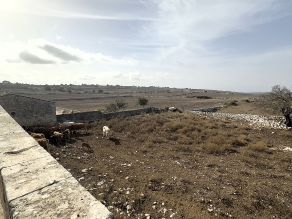farmhouse for sale ragusa sicily