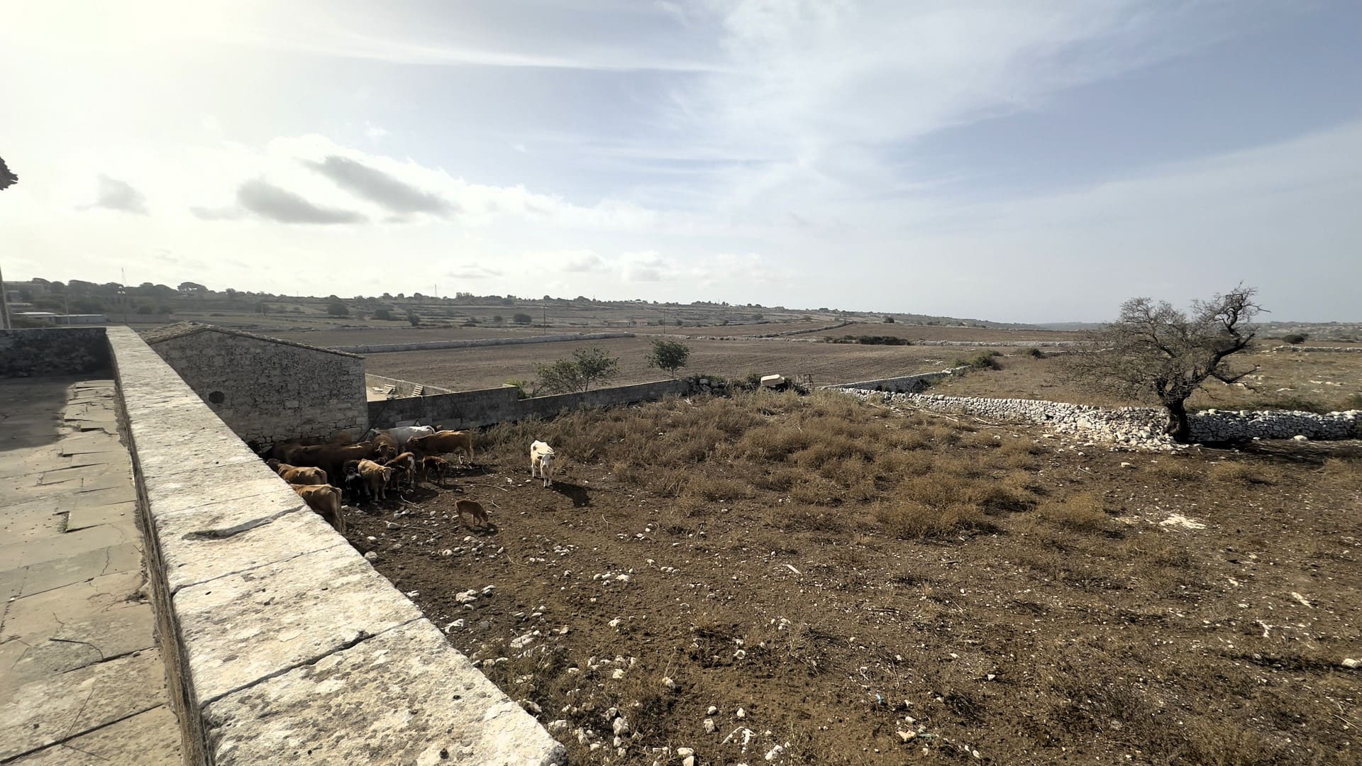 farmhouse for sale ragusa sicily