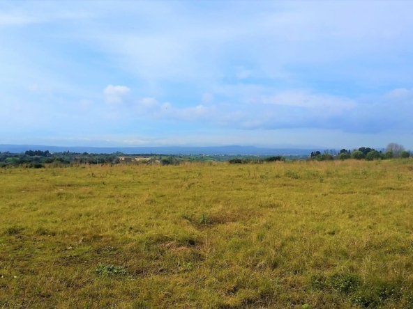 farmland forsale in syracuse sicily.