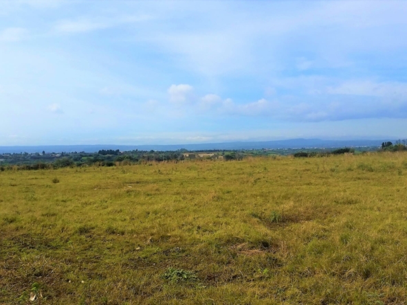 farmland forsale in syracuse sicily.