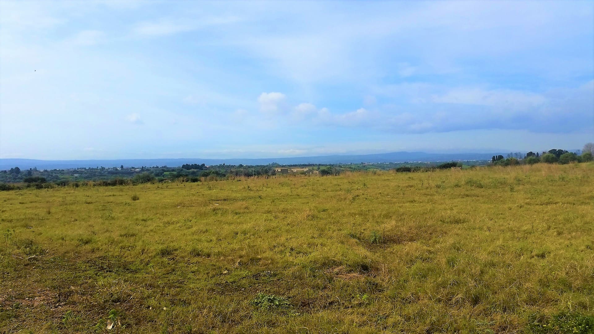farmland forsale in syracuse sicily.