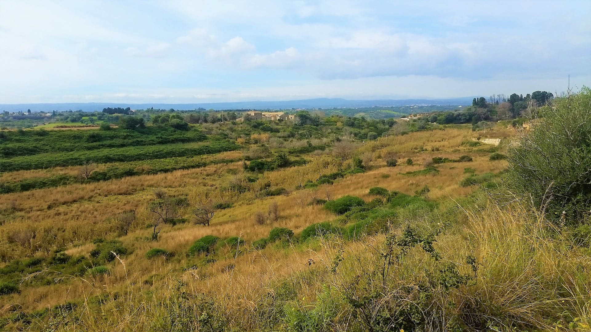 farmland forsale in syracuse sicily.