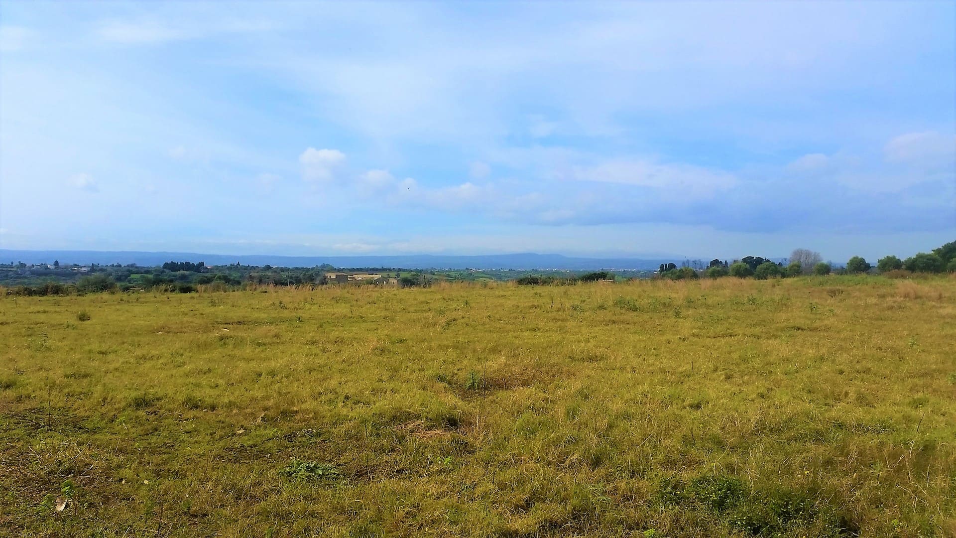 farmland forsale in syracuse sicily.