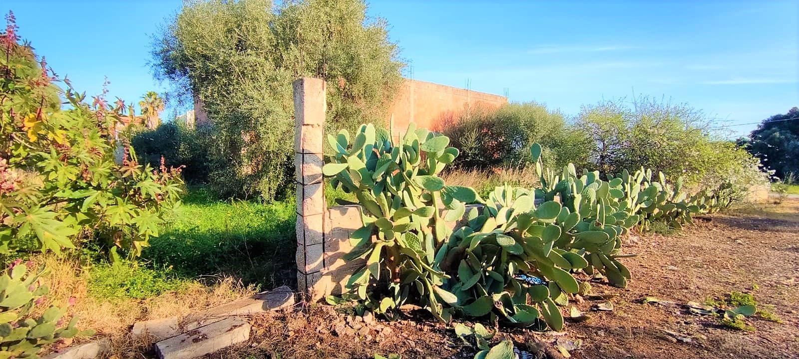 panoramic villa with garden forsale in syracuse sicily